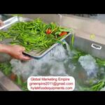 Leafy Vegetables And Fruits Washing Machine