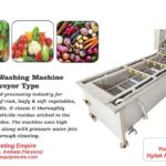 Vegetable Washing Machine Continous Type