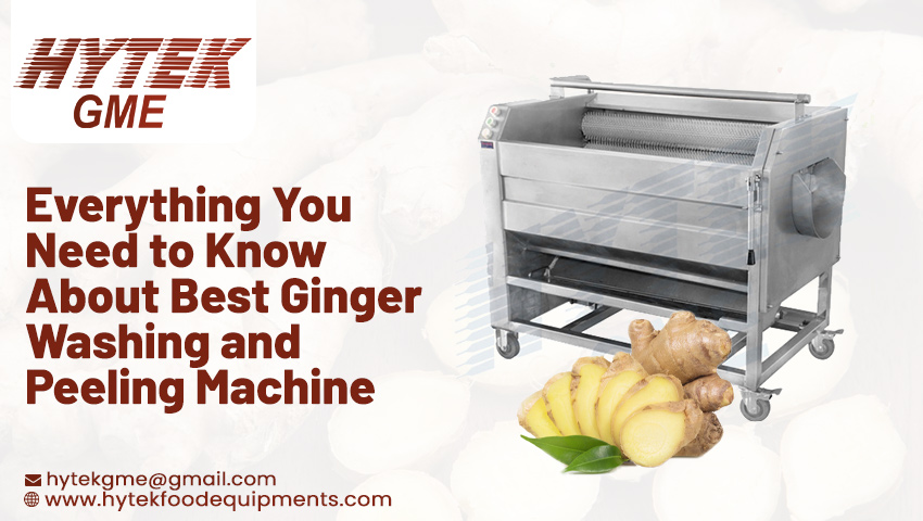Best Ginger Washing and Peeling Machine